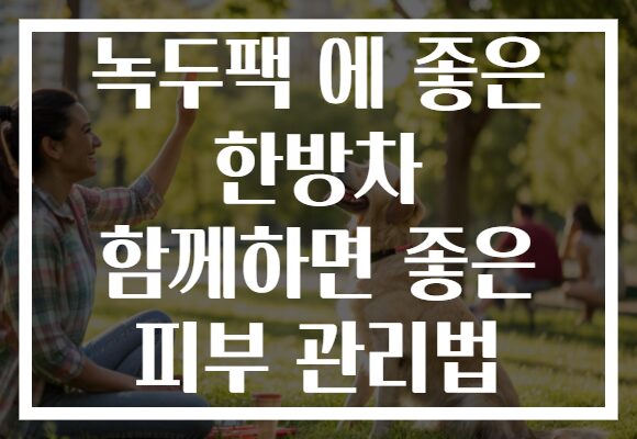 녹두팩 에 좋은 한방차 함께하면 좋은 피부 관리법