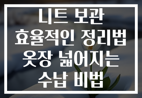 니트 보관 효율적인 정리법 옷장 넓어지는 수납 비법