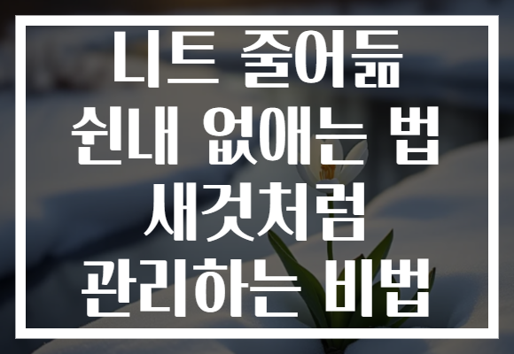 니트 줄어듦 쉰내 없애는 법 새것처럼 관리하는 비법
