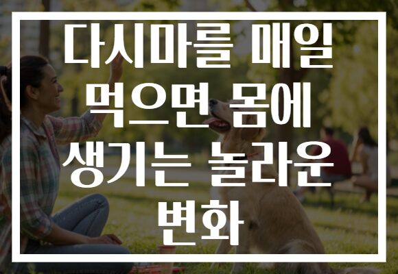 다시마를 매일 먹으면 몸에 생기는 놀라운 변화