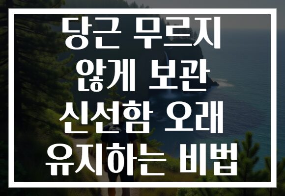 당근 무르지 않게 보관 신선함 오래 유지하는 비법