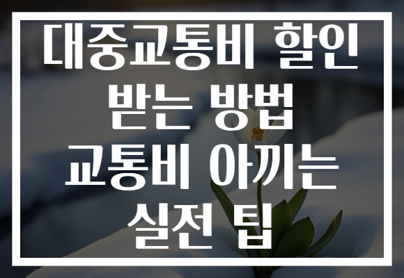 대중교통비 할인 받는 방법 교통비 아끼는 실전 팁