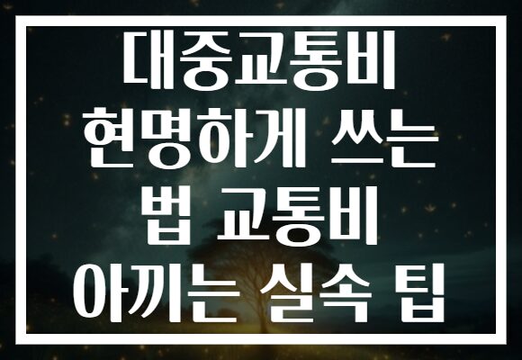 대중교통비 현명하게 쓰는 법 교통비 아끼는 실속 팁