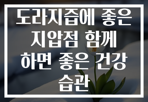 도라지즙에 좋은 지압점 함께 하면 좋은 건강 습관