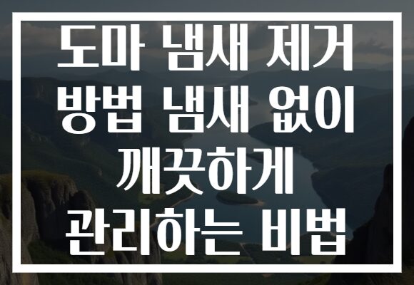 도마 냄새 제거 방법 냄새 없이 깨끗하게 관리하는 비법