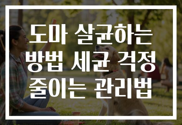 도마 살균하는 방법 세균 걱정 줄이는 관리법