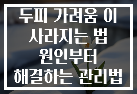 두피 가려움 이 사라지는 법 원인부터 해결하는 관리법