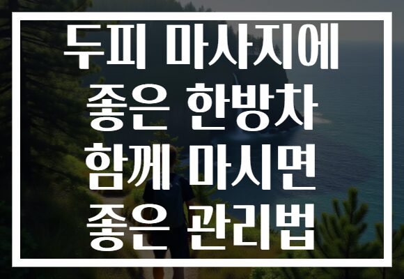 두피 마사지에 좋은 한방차 함께 마시면 좋은 관리법