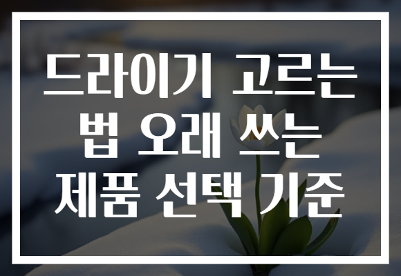 드라이기 고르는 법 오래 쓰는 제품 선택 기준