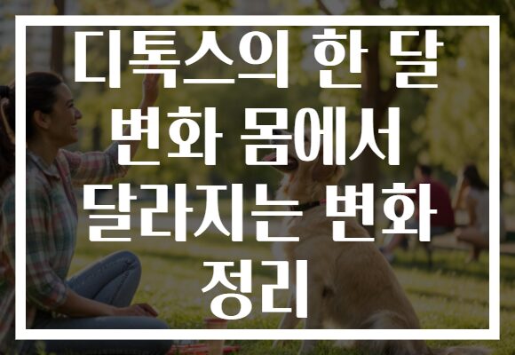 디톡스의 한 달 변화 몸에서 달라지는 변화 정리
