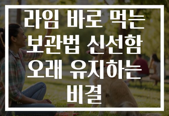 라임 바로 먹는 보관법 신선함 오래 유지하는 비결