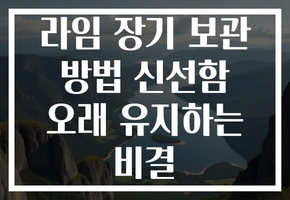 라임 장기 보관 방법 신선함 오래 유지하는 비결
