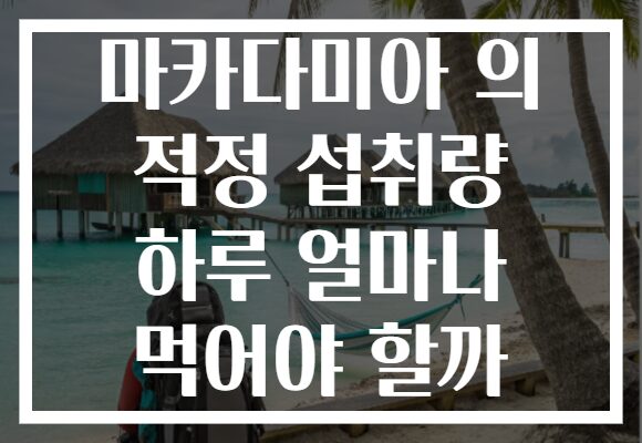 마카다미아 의 적정 섭취량 하루 얼마나 먹어야 할까