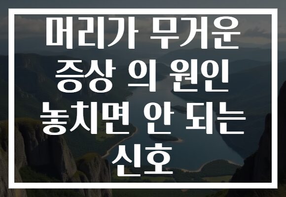 머리가 무거운 증상 의 원인 놓치면 안 되는 신호