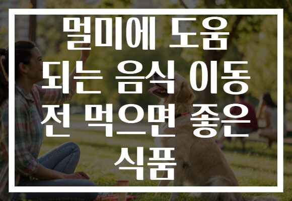 멀미에 도움 되는 음식 이동 전 먹으면 좋은 식품