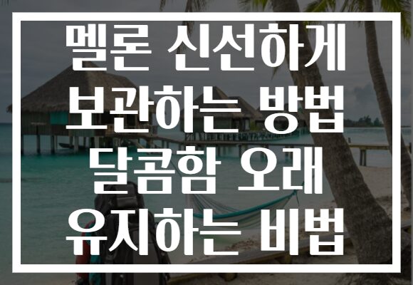 멜론 신선하게 보관하는 방법 달콤함 오래 유지하는 비법