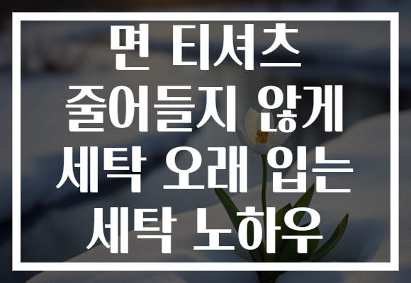 면 티셔츠 줄어들지 않게 세탁 오래 입는 세탁 노하우