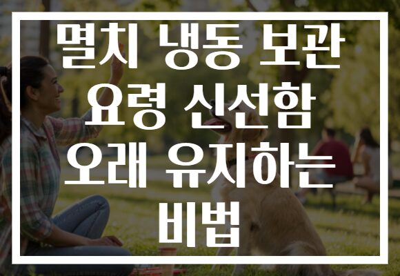 멸치 냉동 보관 요령 신선함 오래 유지하는 비법