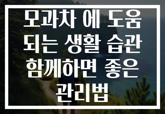 모과차 에 도움 되는 생활 습관 함께하면 좋은 관리법