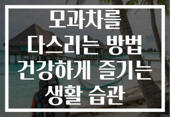 모과차를 다스리는 방법 건강하게 즐기는 생활 습관