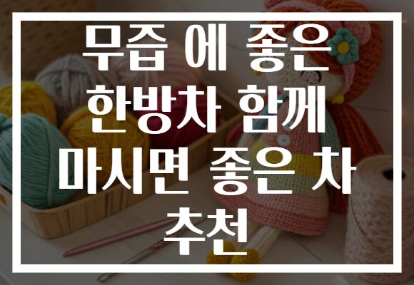 무즙 에 좋은 한방차 함께 마시면 좋은 차 추천
