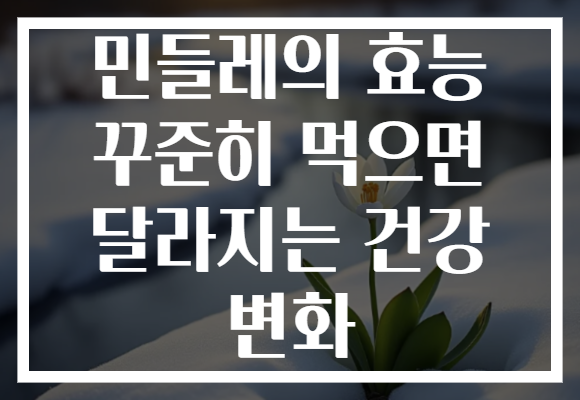 민들레의 효능 꾸준히 먹으면 달라지는 건강 변화