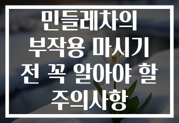 민들레차의 부작용 마시기 전 꼭 알아야 할 주의사항