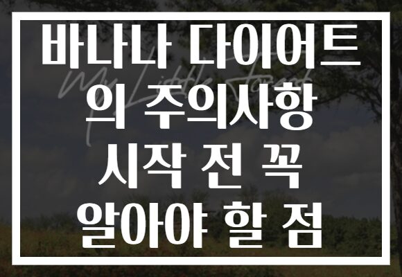 바나나 다이어트 의 주의사항 시작 전 꼭 알아야 할 점