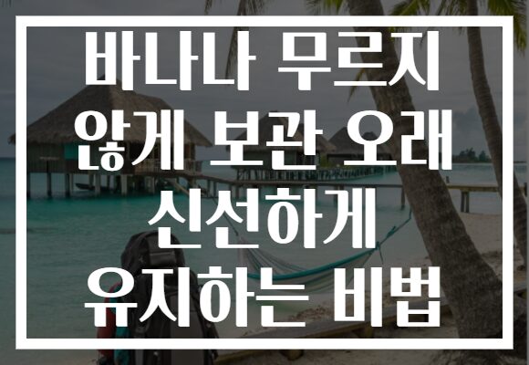 바나나 무르지 않게 보관 오래 신선하게 유지하는 비법