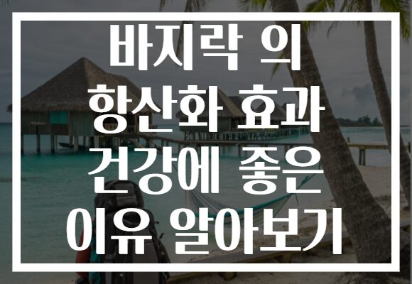 바지락 의 항산화 효과 건강에 좋은 이유 알아보기