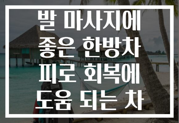 발 마사지에 좋은 한방차 피로 회복에 도움 되는 차