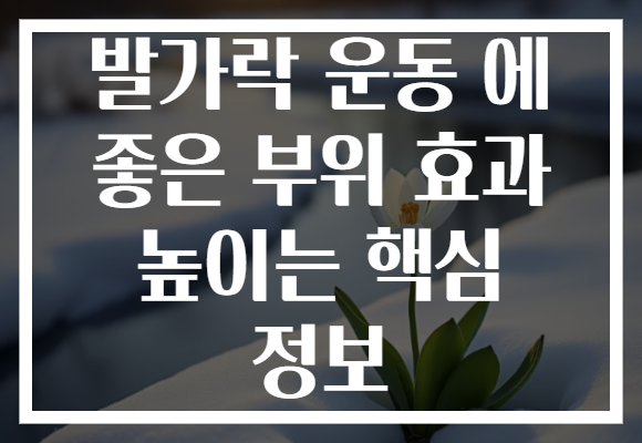 발가락 운동 에 좋은 부위 효과 높이는 핵심 정보