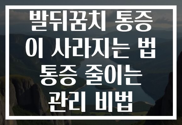 발뒤꿈치 통증 이 사라지는 법 통증 줄이는 관리 비법