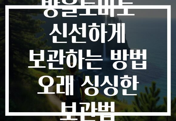 방울토마토 신선하게 보관하는 방법 오래 싱싱한 보관법