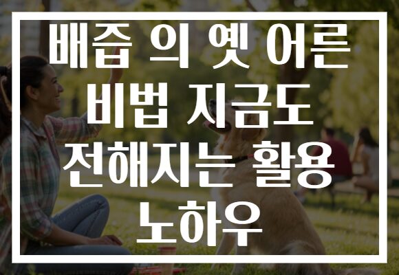 배즙 의 옛 어른 비법 지금도 전해지는 활용 노하우