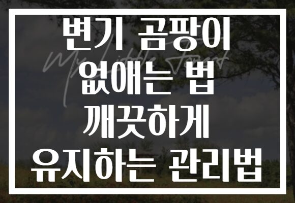 변기 곰팡이 없애는 법 깨끗하게 유지하는 관리법