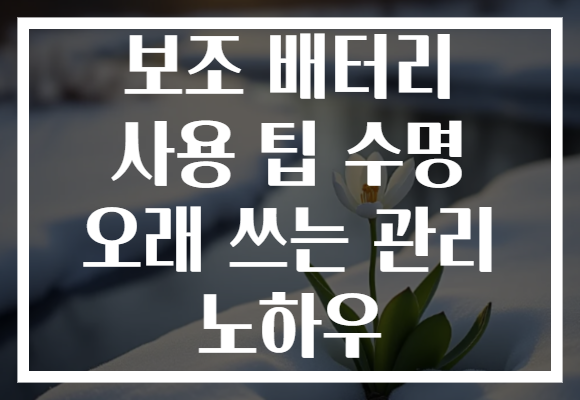 보조 배터리 사용 팁 수명 오래 쓰는 관리 노하우