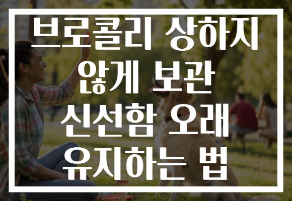 브로콜리 상하지 않게 보관 신선함 오래 유지하는 법