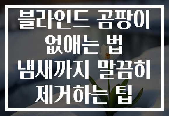 블라인드 곰팡이 없애는 법 냄새까지 말끔히 제거하는 팁