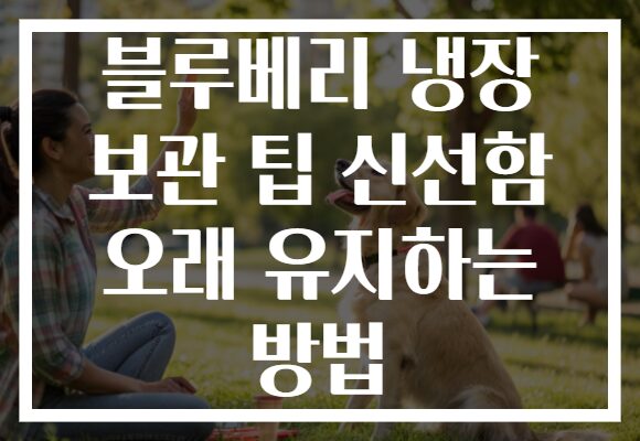 블루베리 냉장 보관 팁 신선함 오래 유지하는 방법