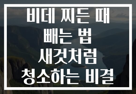 비데 찌든 때 빼는 법 새것처럼 청소하는 비결