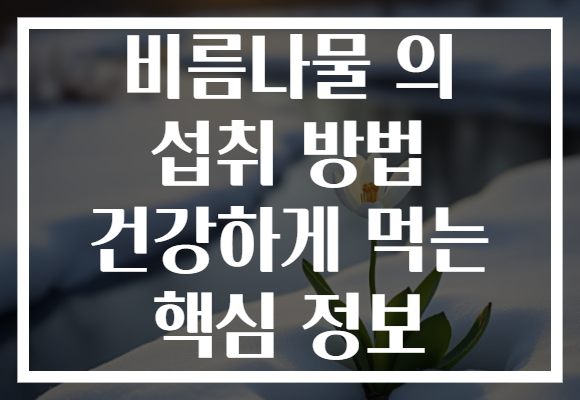 비름나물 의 섭취 방법 건강하게 먹는 핵심 정보