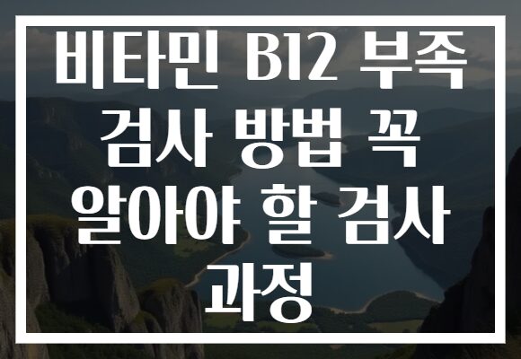비타민 B12 부족 검사 방법 꼭 알아야 할 검사 과정