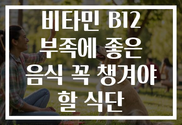 비타민 B12 부족에 좋은 음식 꼭 챙겨야 할 식단