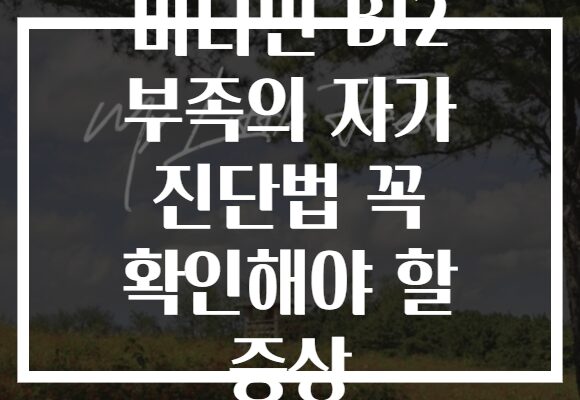 비타민 B12 부족의 자가 진단법 꼭 확인해야 할 증상
