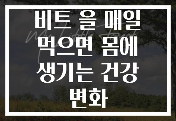 비트 을 매일 먹으면 몸에 생기는 건강 변화