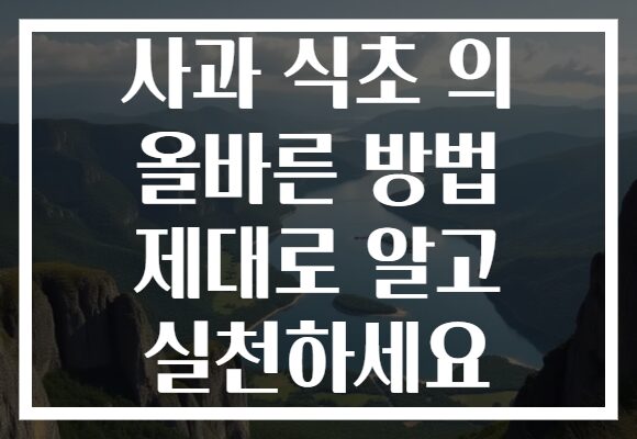 사과 식초 의 올바른 방법 제대로 알고 실천하세요