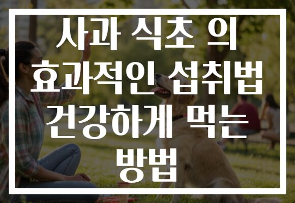 사과 식초 의 효과적인 섭취법 건강하게 먹는 방법