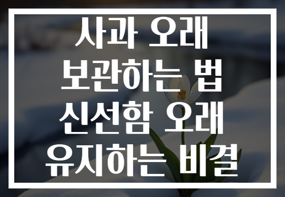 사과 오래 보관하는 법 신선함 오래 유지하는 비결
