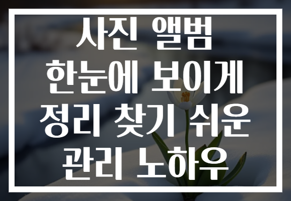 사진 앨범 한눈에 보이게 정리 찾기 쉬운 관리 노하우